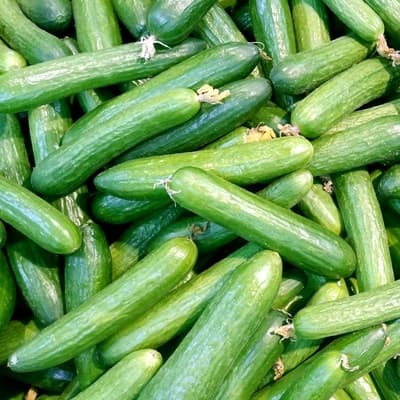 শসা